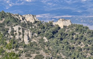 La Roque d'Anthéron. Le Castellas     