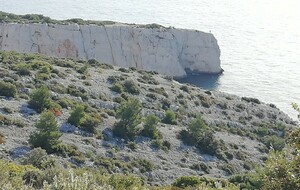 61e5d7590700d_photo.jpg