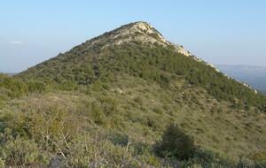 Saint Jean du Puy -tour du mont Piveau