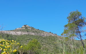 Le Cuit, les chapelles et les iris