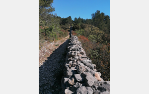 Lagnes :  Mur de la Peste  et Château des Evêques 