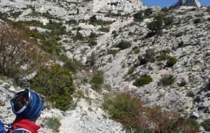 Calanques : Pételins / Devenson / Eissadon.            Alain.