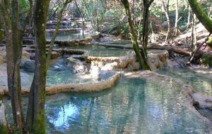 Source de l'Huveaune - Randonnée à la journée