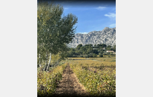 Puyloubier : Sentier des Vignerons Michel Rondet