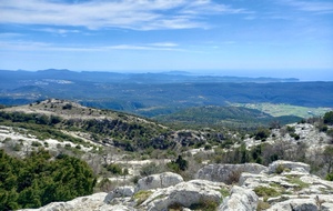 tete de douard