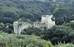 les fonds de vallée de l'Arbois