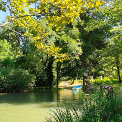Bras : colline du Defens et Cauron
