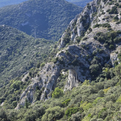 Mérindol: petit Luberon versant sud . NOMBRE de PARTICIPANTS LIMITE à 15 PERSONNES.
